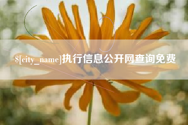 义乌执行信息公开网查询免费