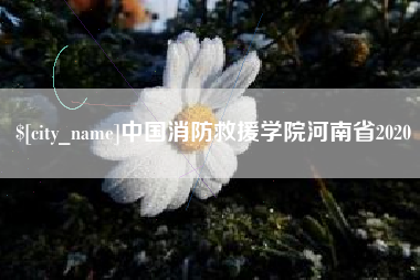 义乌中国消防救援学院河南省2020
